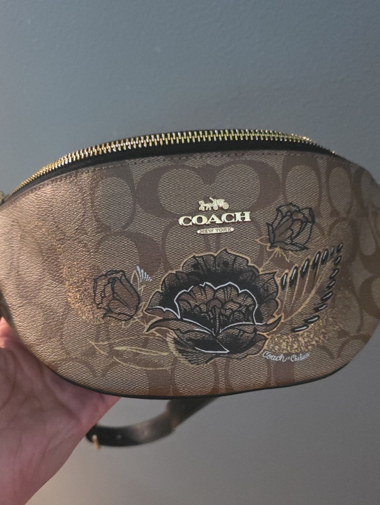 Coach Accessories - Coach x Chelsea Champlain Tattoo Signature Belt Bag (Style F76663)